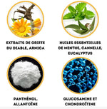 Charger l&#39;image dans la galerie, HondroLife  Spray pour les Douleurs Articulaires et Musculaires
